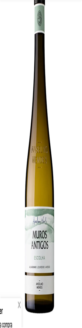 Anselmo Mendes Escolha Muros Antigos 2023